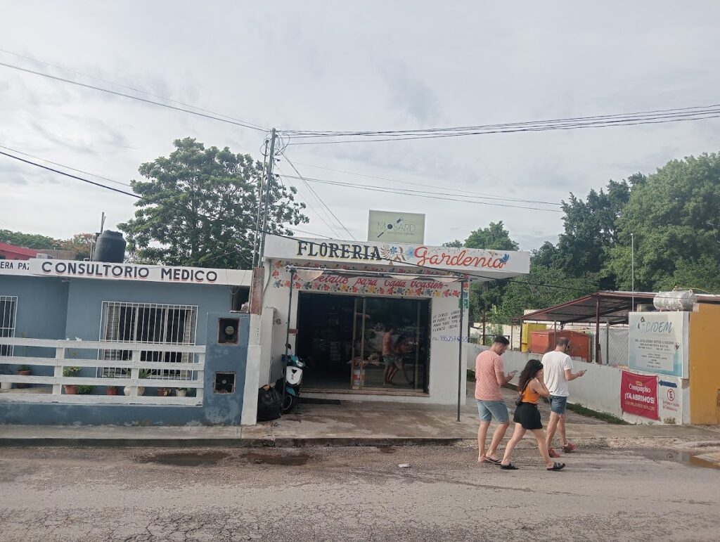 23257 floreria magnolia 1024x771