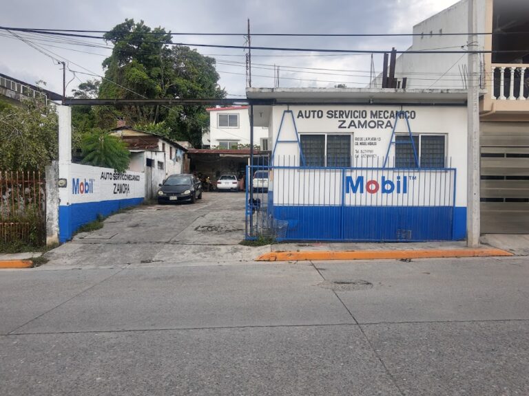 23633 auto servicio mecanico 8220zamora8221 768x576