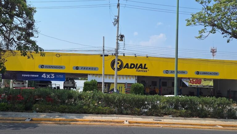 23685 radial llantas matriz palmas 768x433