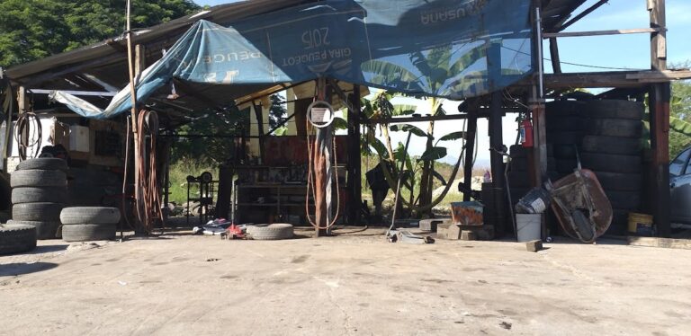 23803 llantera movil el raton veloz 768x374