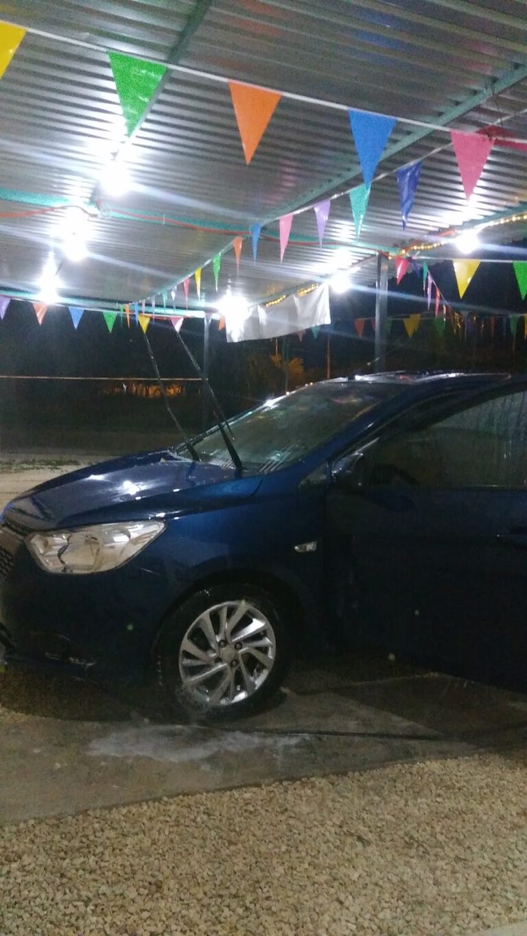 24359 detallado automotriz rooster 768x1365