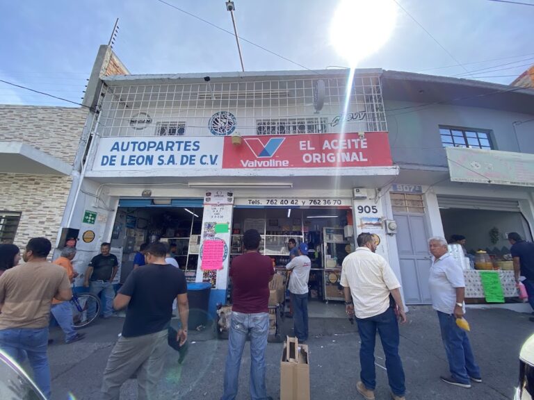 24486 autopartes de leon s.a. de c.v 768x576