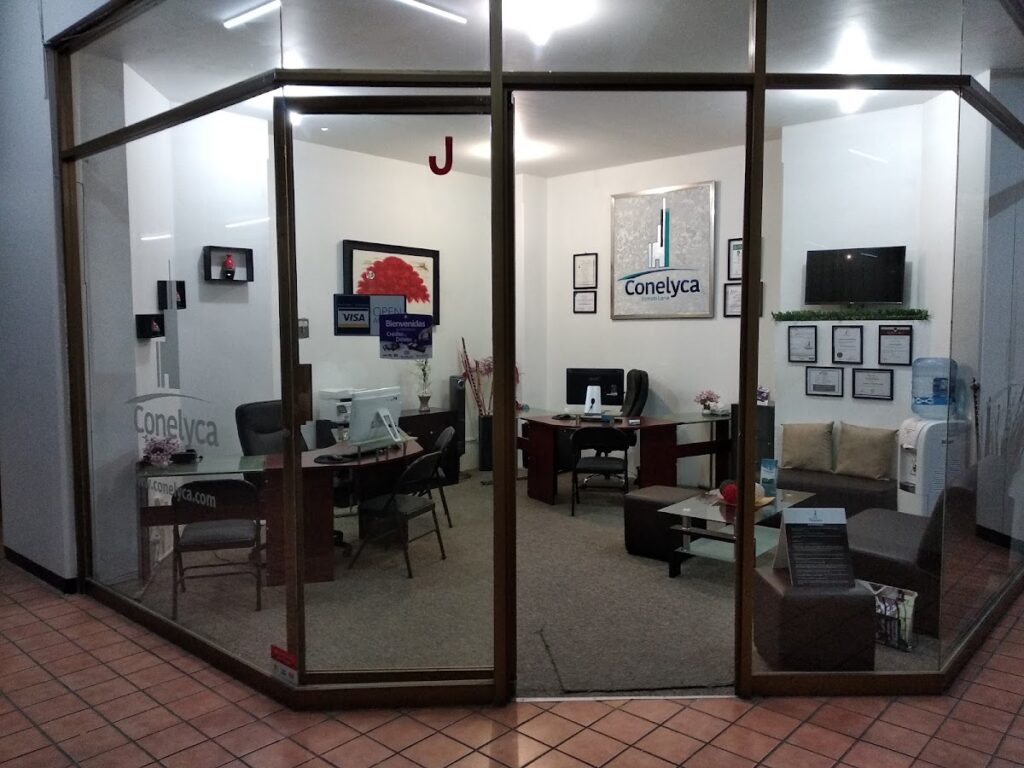 24782 conelyca inmobiliaria s.r.l. de c.v 1024x768