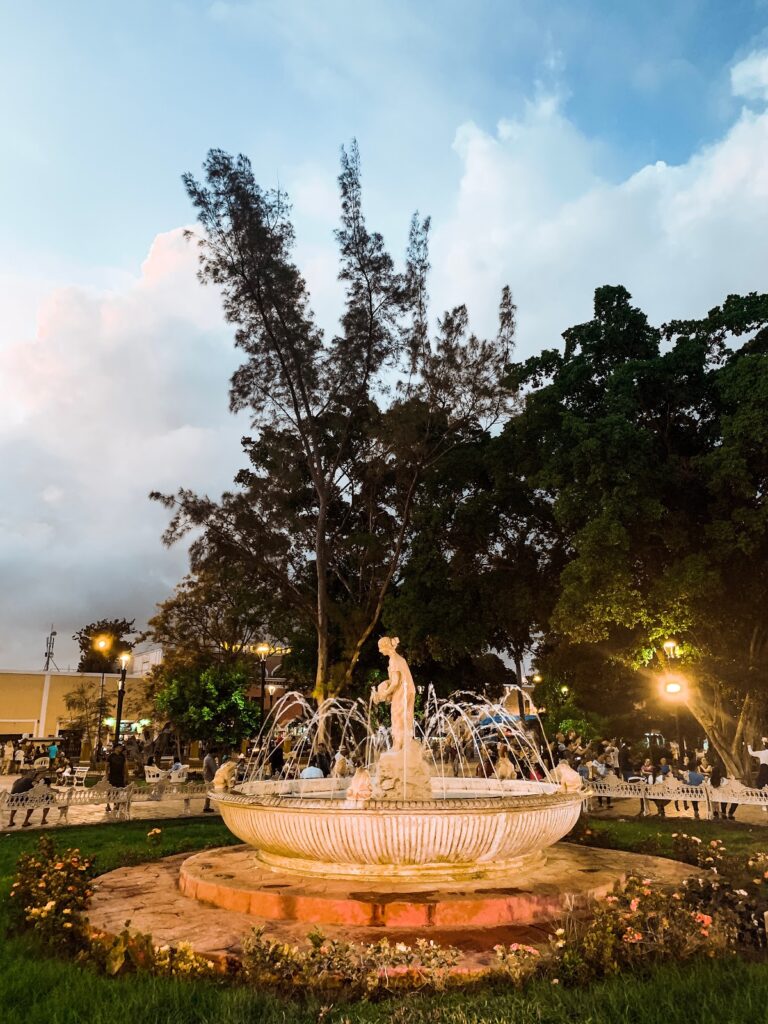 25215 tierra valladolid 768x1024