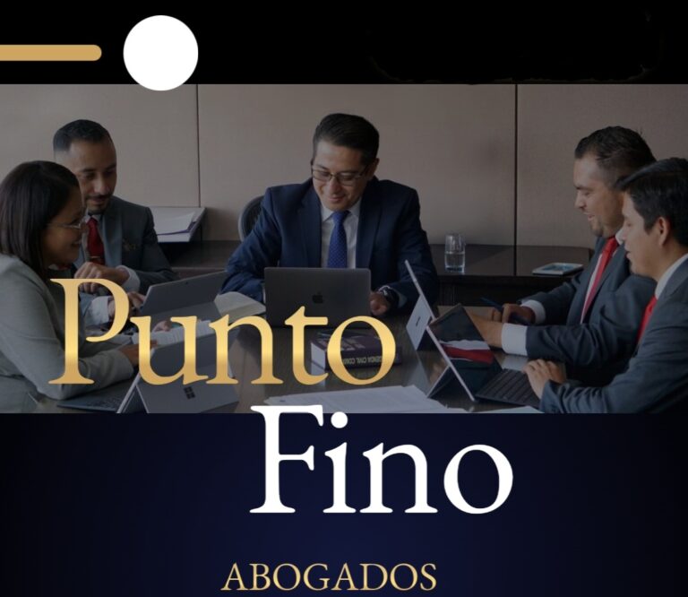 25652 punto fino abogados s.c 768x666