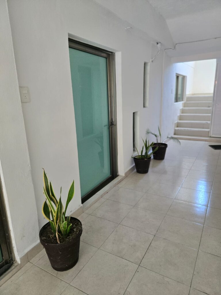 25890 anahi prieto graniel 768x1024