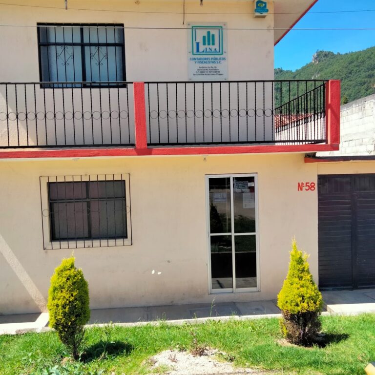 26069 lina contadores 768x768