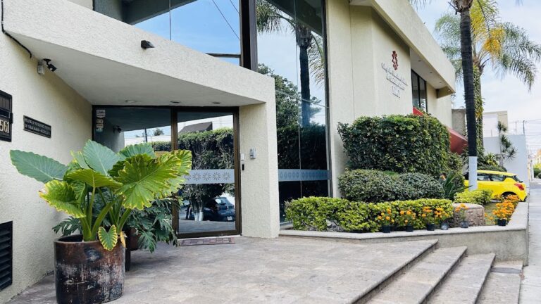 26194 colegio de contadores publicos de guadalajara jalisco a.c 768x432