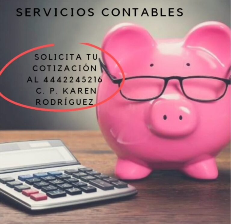 26322 contador publico karen rodriguez 768x745