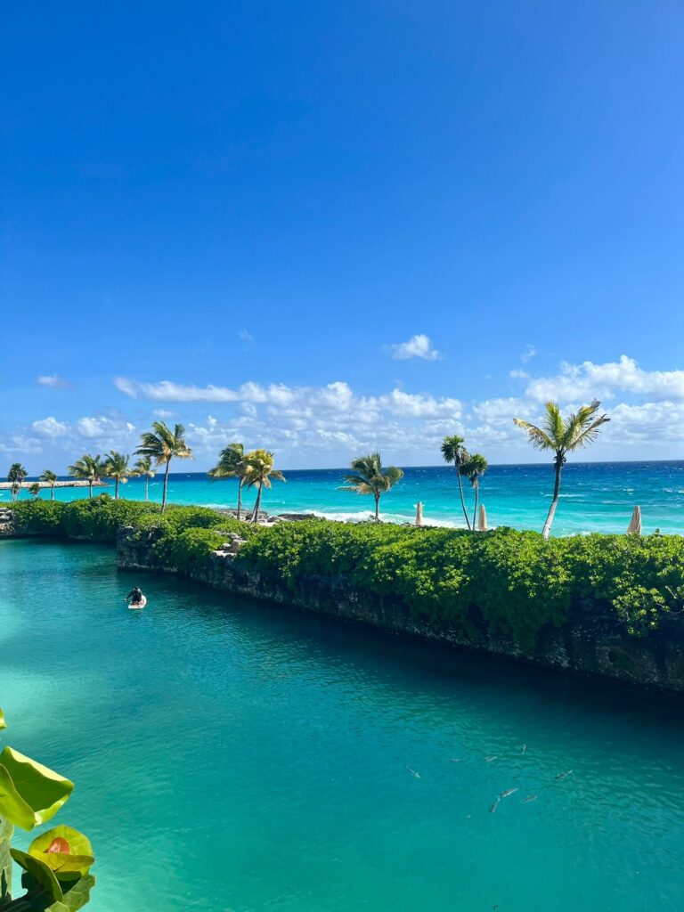 26466 mundo turistico agencia de viajes 768x1024