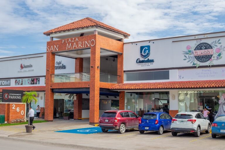 27006 guardian insurance mx 768x512