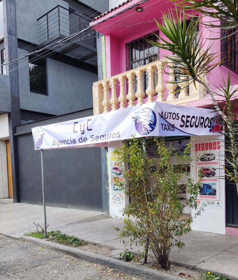 27102 agencia de seguros en general representante de banorte inbursa qualitas afirme la latinoamericana 768x904