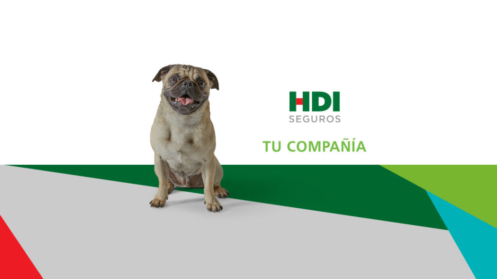 27263 hdi seguros zacatecas 1024x576