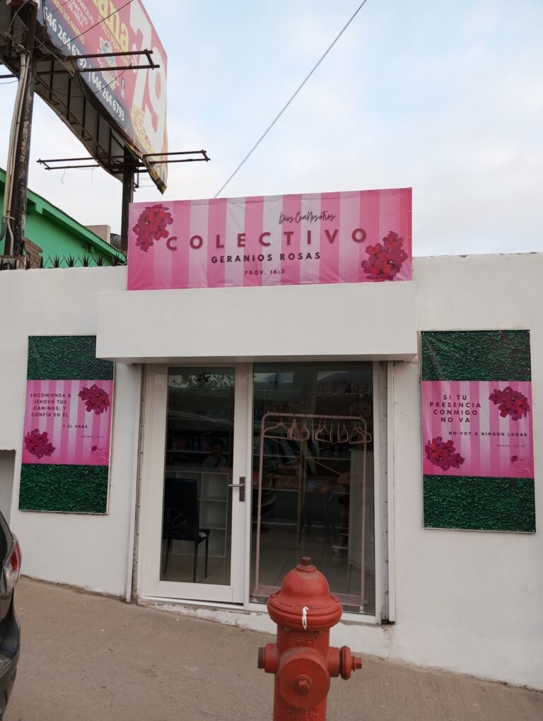 27614 colectivo geranios rosas 768x1020