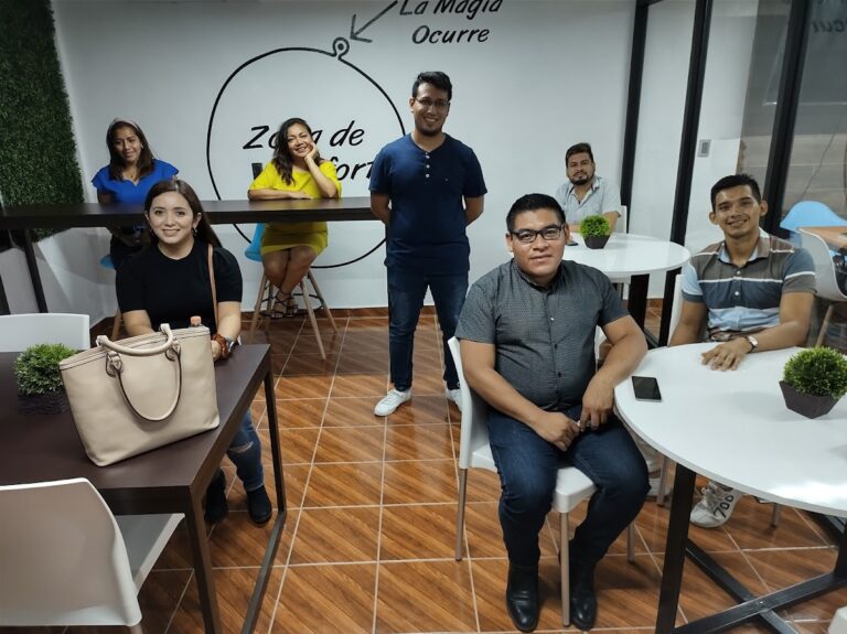 27645 omnistar 768x575