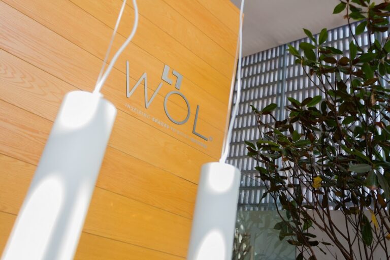 27827 wol center 768x512