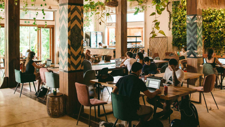 27880 digital jungle 768x433