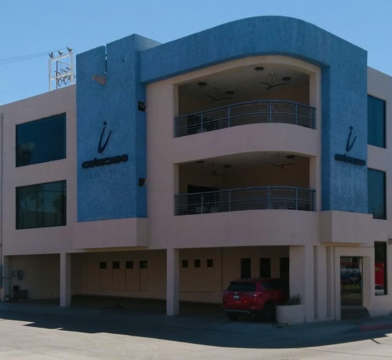 28036 cetecabo csl 768x705