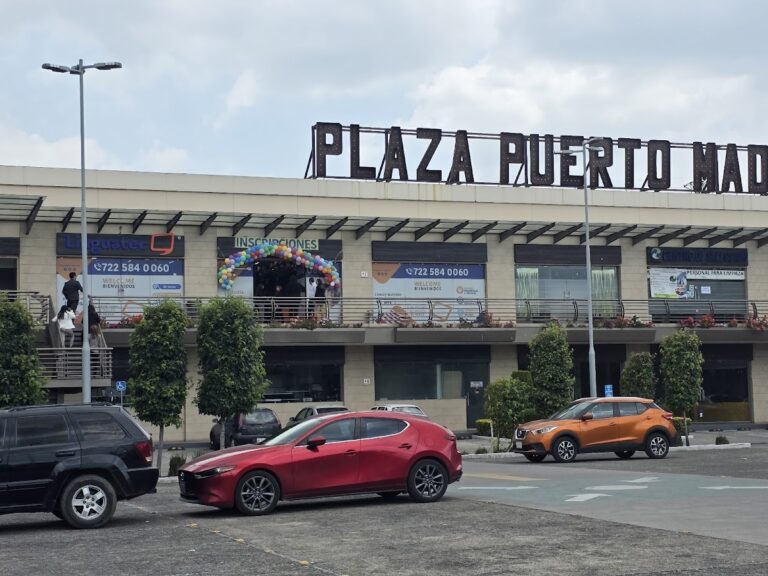 28161 linguatec toluca 768x576