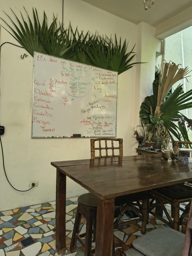 28324 spanish lab tulum school 768x1024