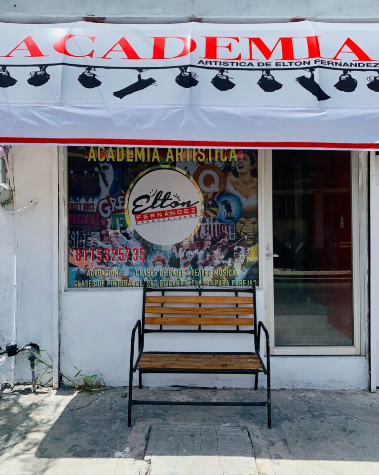 29312 academia artistica de elton fernandez 768x963