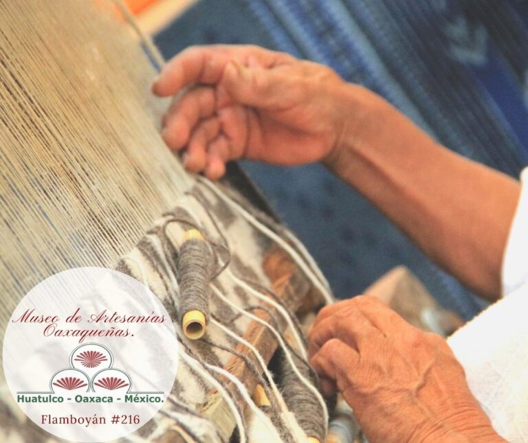 29316 museo de artesanias oaxaquenas 768x644