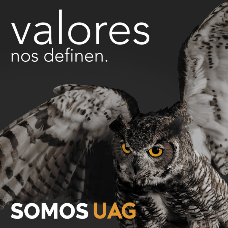 30183 universidad autonoma de guadalajara uag 8211 campus tabasco 768x768