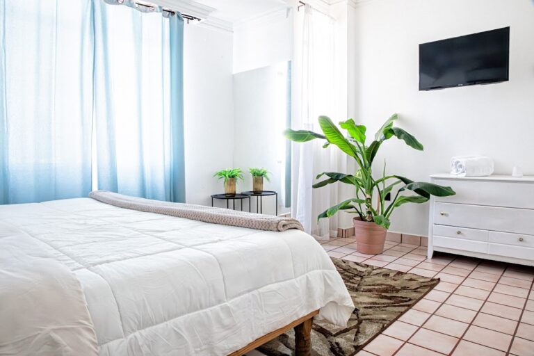 30596 casa palma 768x512