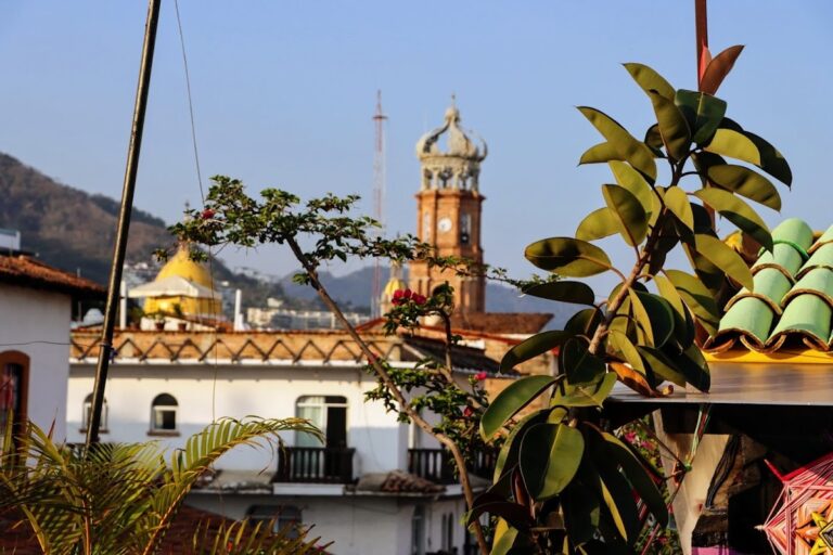 31203 hostel vallarta 768x512