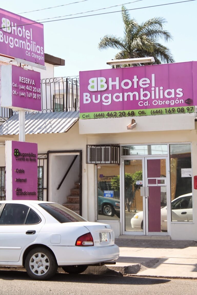 31328 hotel bugambilias 768x1153