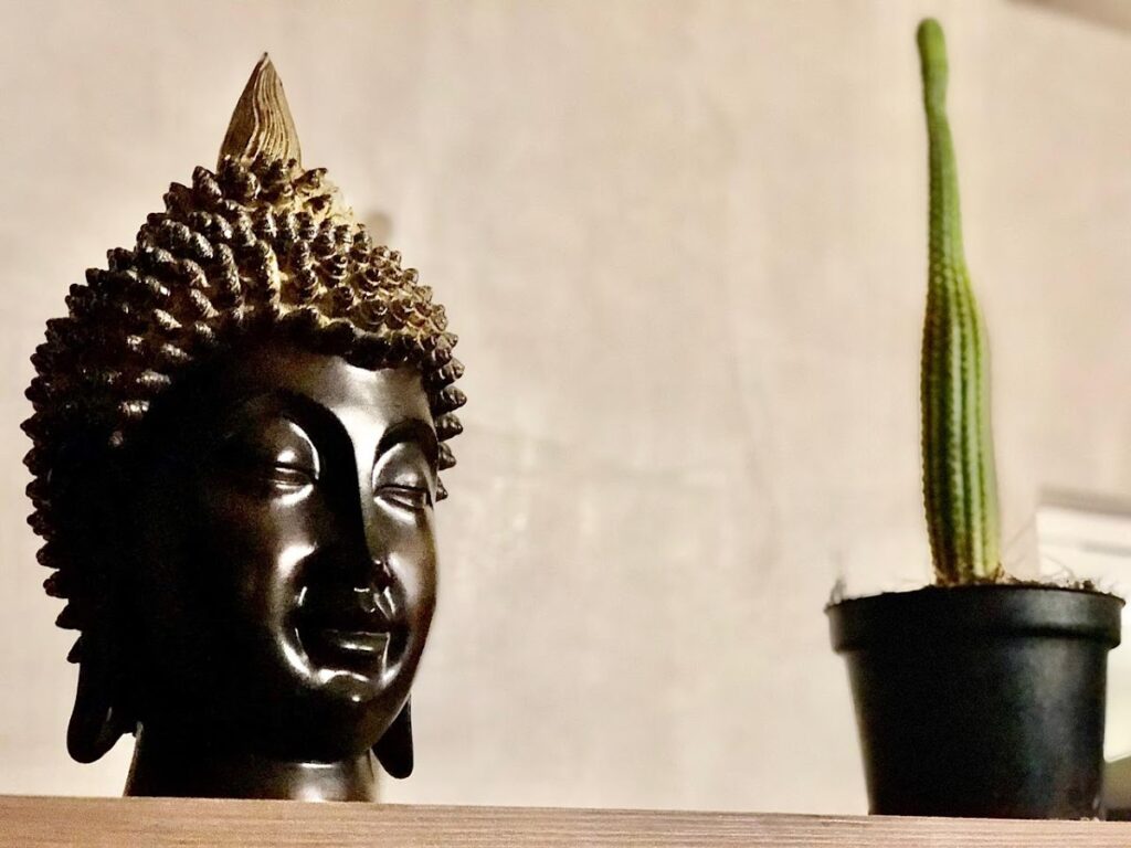 31350 zyanrooms 1024x768