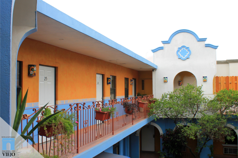 31354 hotel hacienda del viejo 768x511