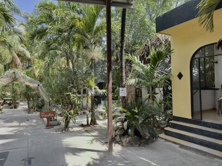 31364 hostel oryx tulum 768x576