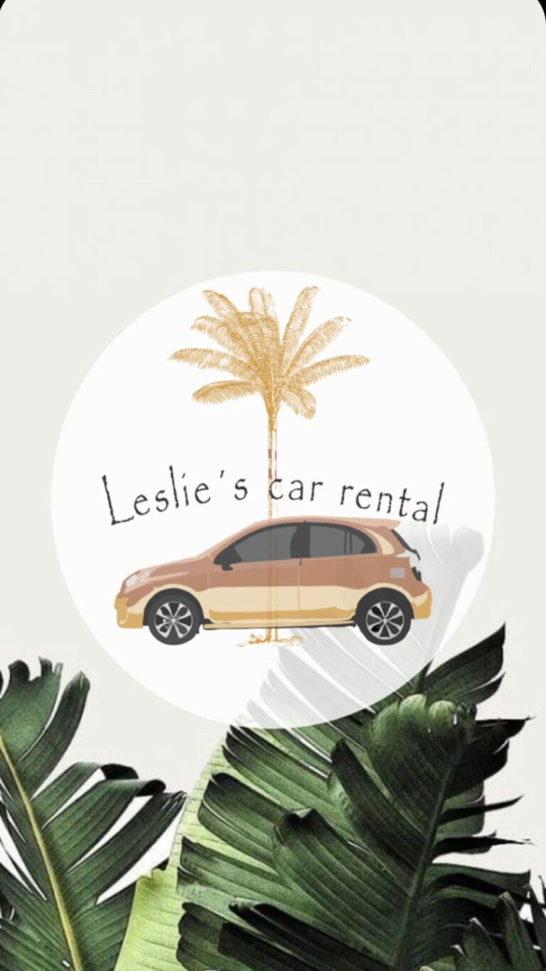 31646 leslies car rental 768x1365
