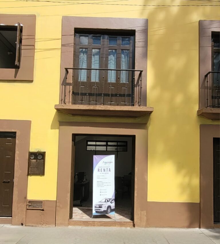 31666 agora car rental 768x852