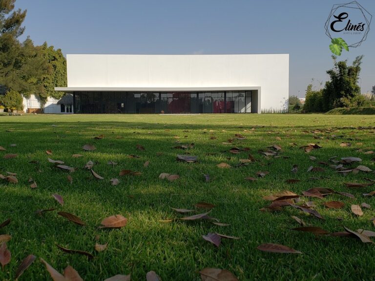 32328 elines loft jardin 768x576