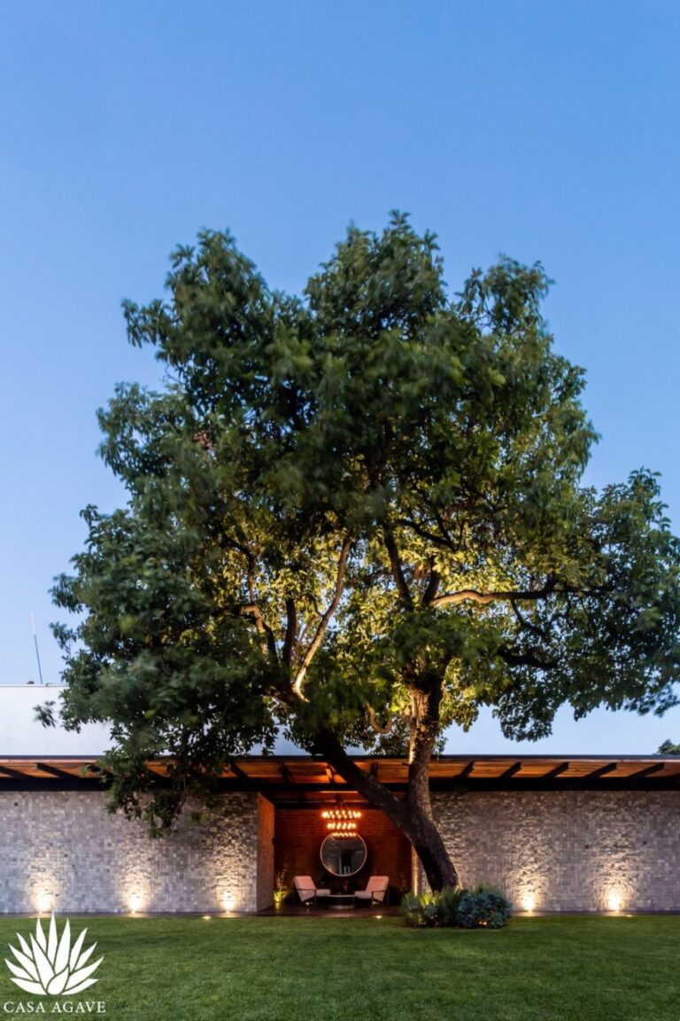 32373 casa agave eventos 768x1152