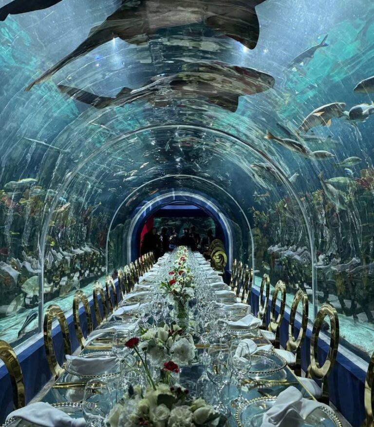 32666 banquetes palaceta 768x876