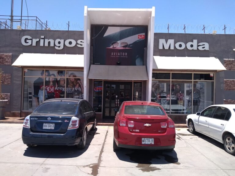 34343 gringos moda 768x576