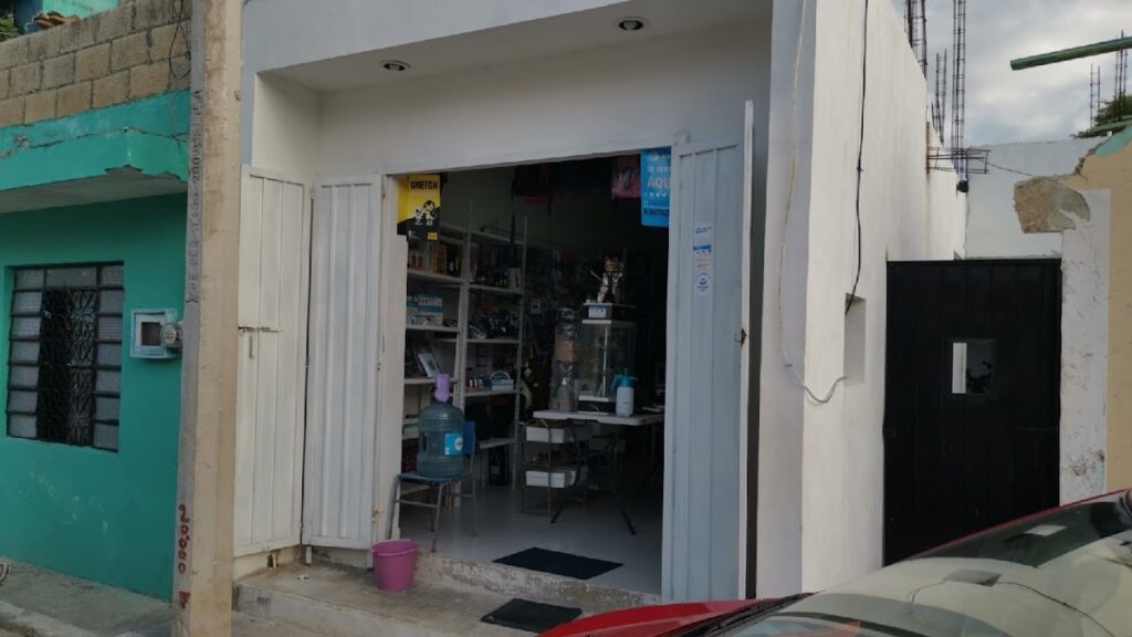 34447 surtido campeche 1024x576