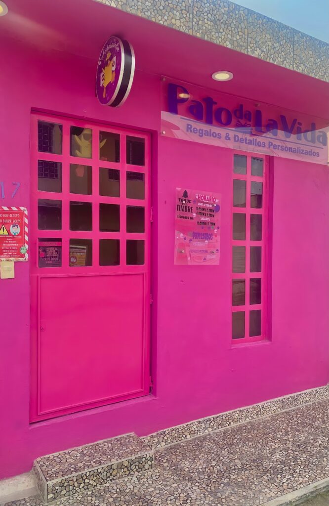 34822 patodalavida regalos y detalles 666x1024