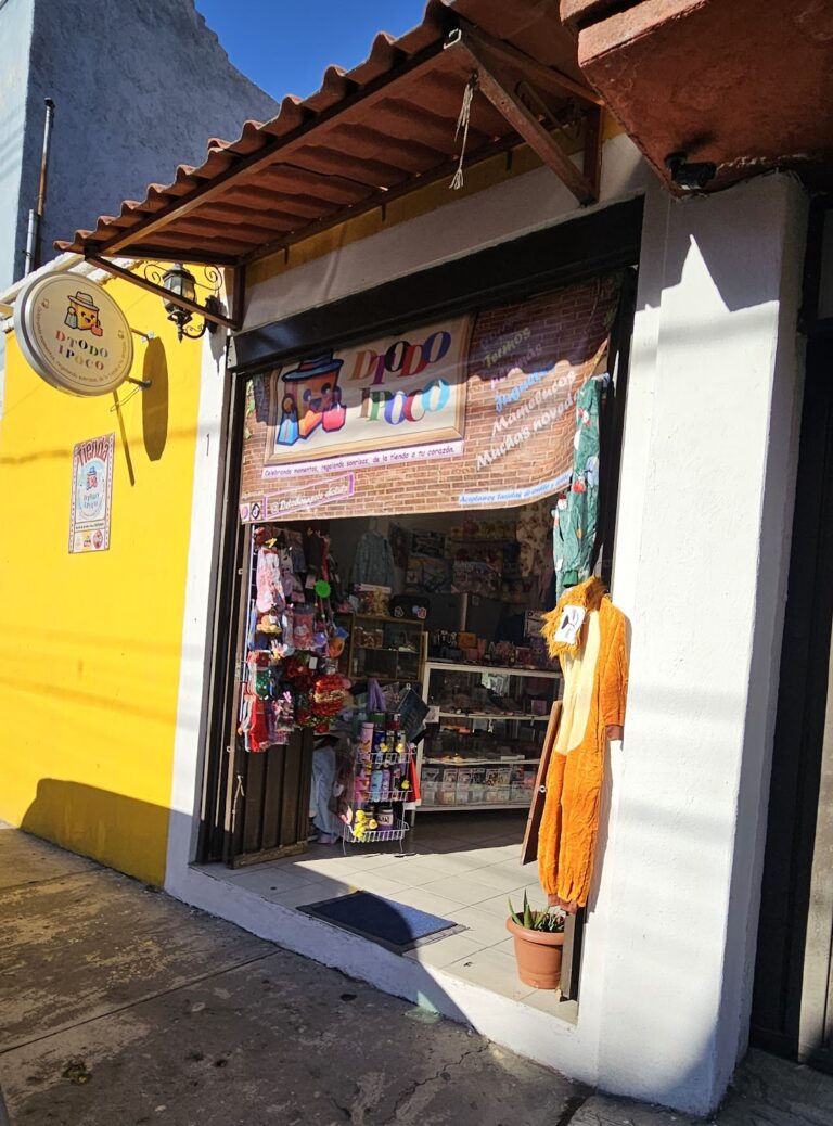 35031 de todo un poco cholula 768x1038