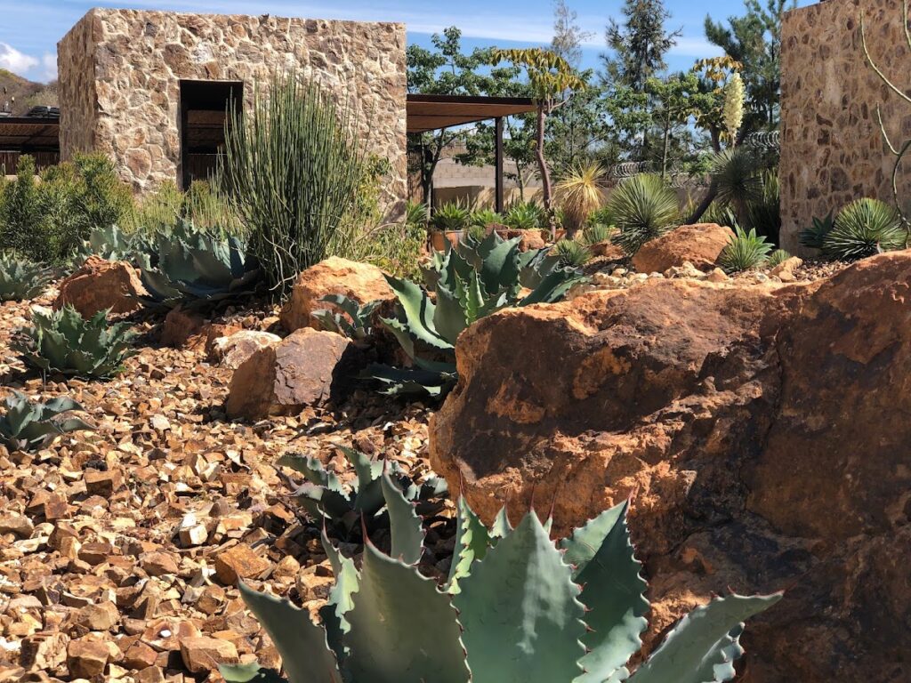 36532 nativo 1024x768