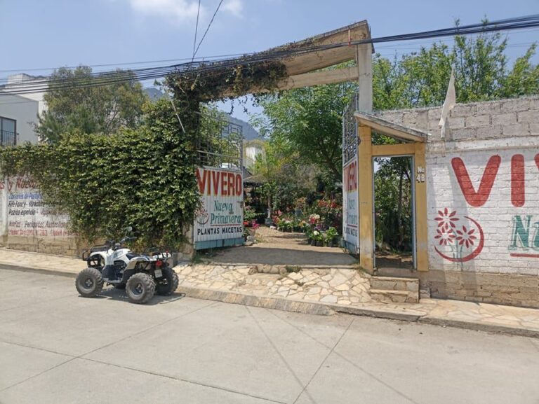 36585 viveros nueva primavera 768x577