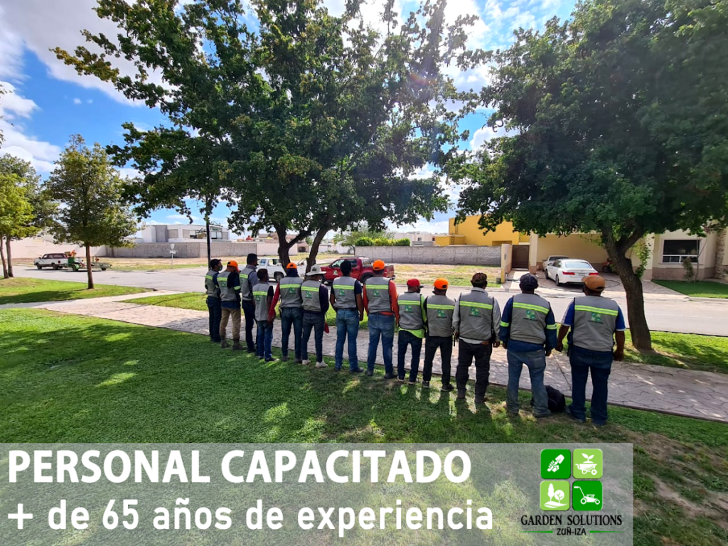 36599 garden solutions 1024x768