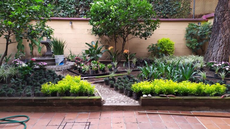 36615 jardify 8211 jardineria en cdmx 768x432