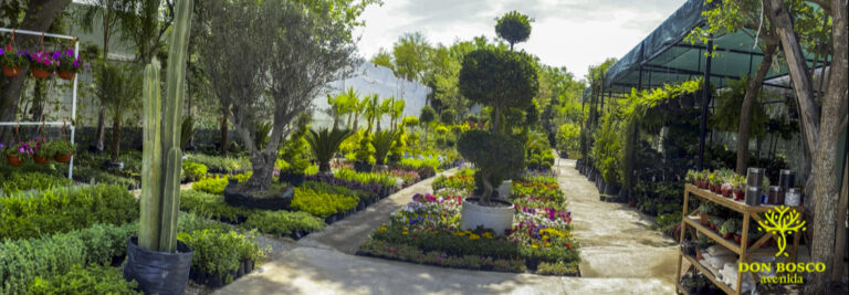 36626 don bosco avenida vivero 768x267