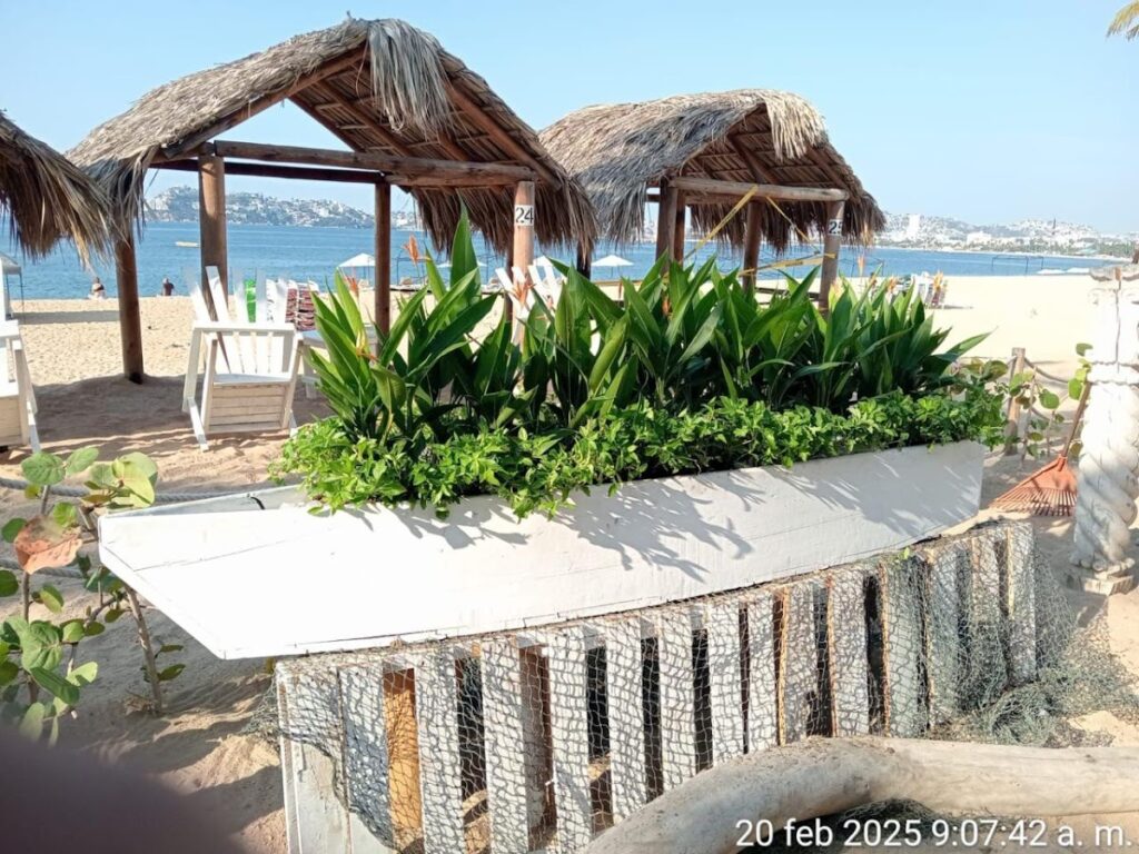 36649 jardineria yamamotos 1024x768