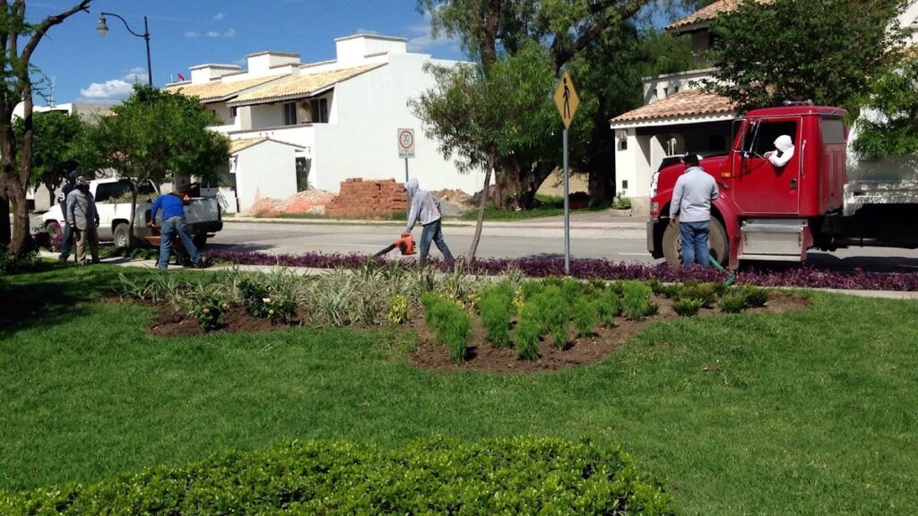 36653 paisajismo de alto nivel 1024x576