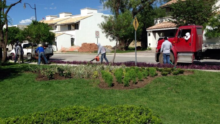 36653 paisajismo de alto nivel 768x432